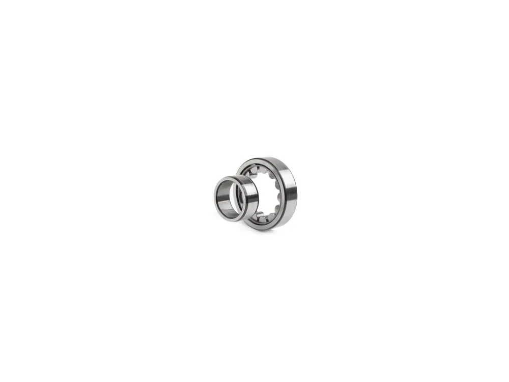 Autentický Ložisko NU305-E-M1-C3 FAG