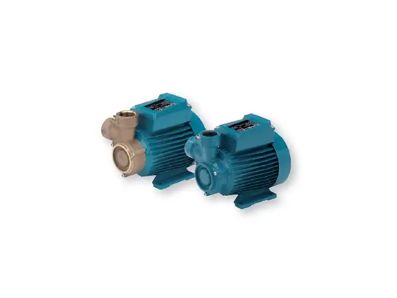 Jen Po Omezenou Doba Calpeda CT 61 0,33kW 400V